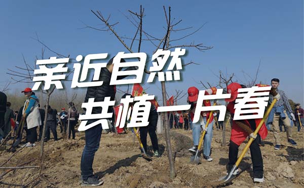 「植树主题团建方案」亲近自然，共植一片春